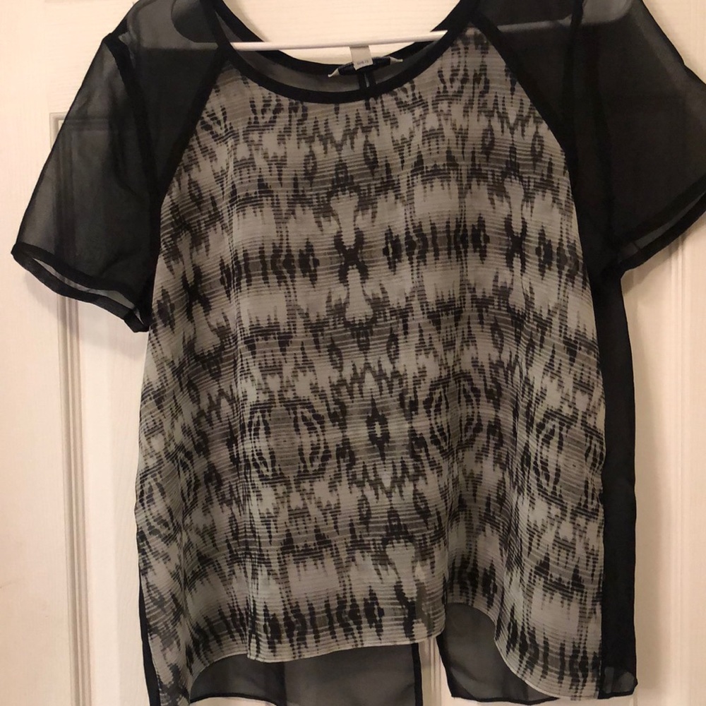 American Eagle Large